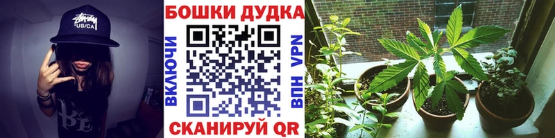 Канабис White Widow  Терек 